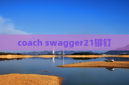 coach swagger21铆钉